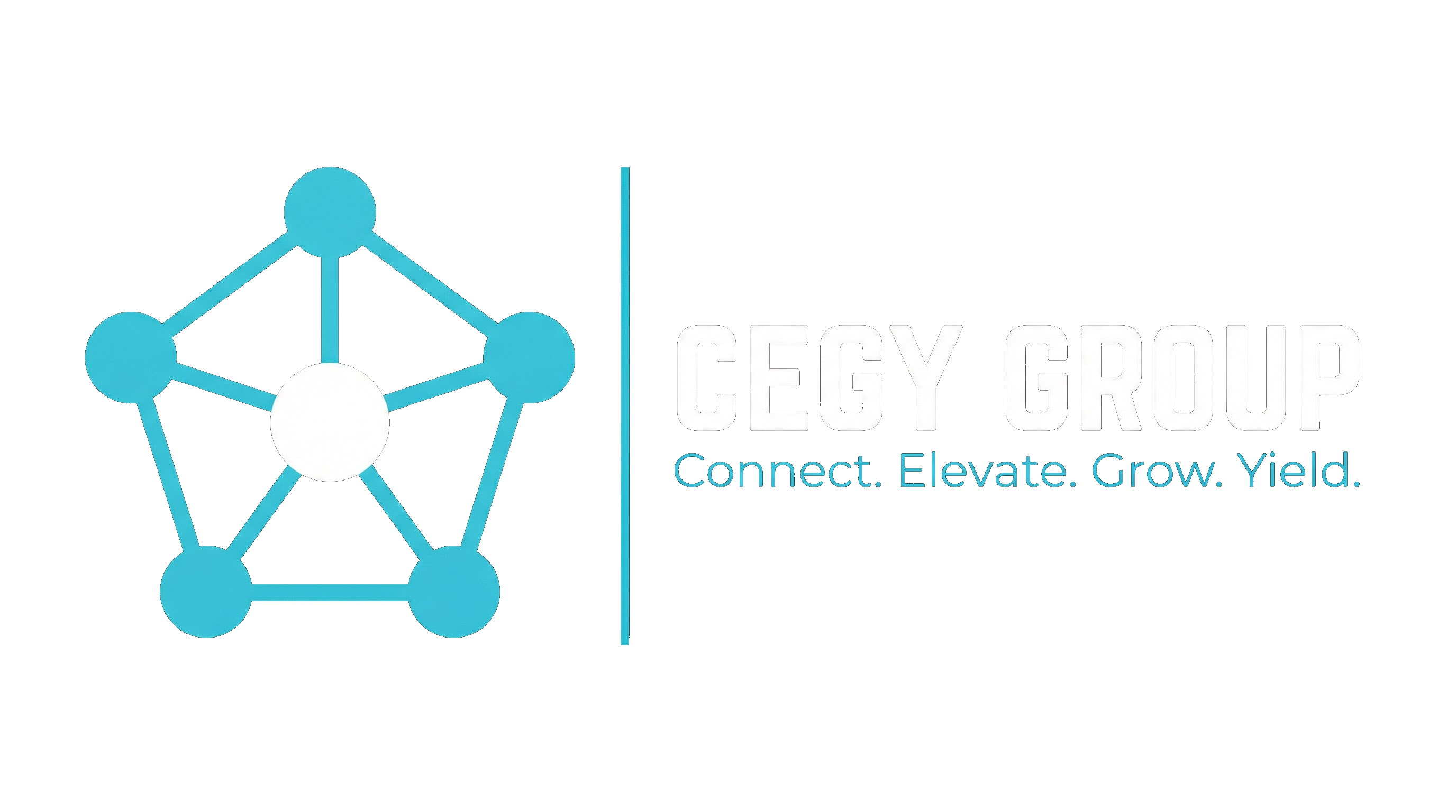 CEGY GROUP
